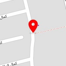 دپارتمان زبان امین