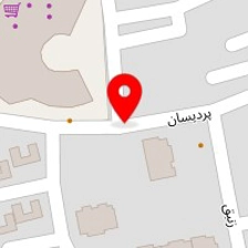 مزون پانیذ