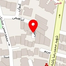 مزون دائمی لیا
