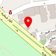 مزون خط خطی