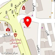 آمیتیست