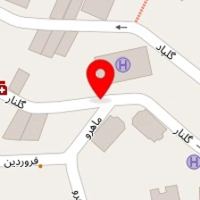 مزون لاد