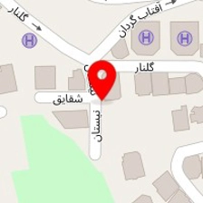 مزون تیپ