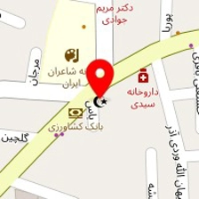 شو لباس سلین