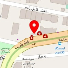 مزون روناک