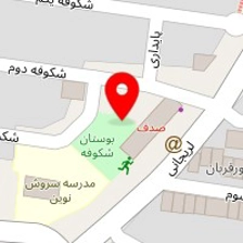 مزون کدنا