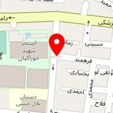 تولیدی نی نیک