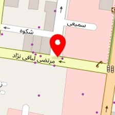 مزون هستی