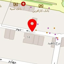 دامپزشکی پالس