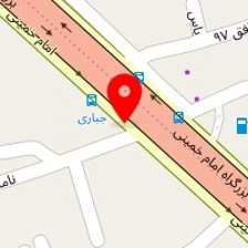کلینیک دامپزشکی آرین