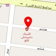 کلینیک دامپزشکی کالج