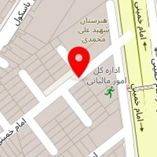 کلینیک دامپزشکی هاکان(دکتر اسلامی)