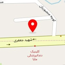 کلینیک دامپزشکی دکتر سامان سلمانی