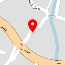 پت شاپ ، خدمات دامپزشکی رامسر