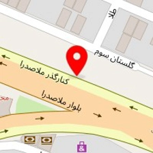 کلینیک دامپزشکی پارادایس