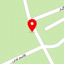 کلینیک دامپزشکی دکتر امین مستوفیان