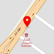 کلینیک دامپزشکی بیدستر