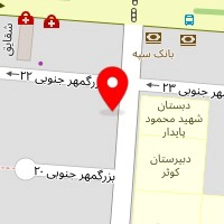 کلینیک حیوانات خانگی بزرگمهر