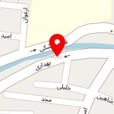کلینیک دامپزشکی حیوانات خانگی دکتر سیف