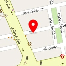 باشگاه رزمی لیو