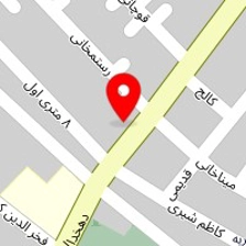 خدمات پرستاری سالمندان دیلمی