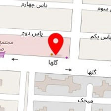 خدمات فنی شاکر