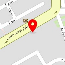 تم تولد و یکبار مصرف
