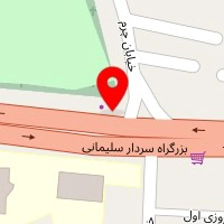 شرکت خدمات بیمه پشتوانه آینده سازان