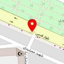 تم تولد هپی
