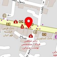 فروشگاه تم جشن تولد و بادکنک ارایی