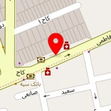 دام گستر