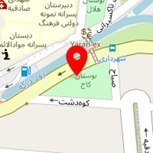 باربری پونک