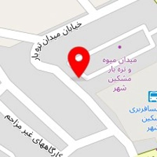 باربری علی نژاد