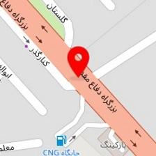 دنیل دیانی