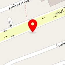 باشگاه رزمی ققنوس