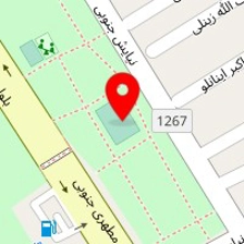 زمین فوتبال محمد سلیمانی