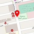 باشگاه فوتبال ستارگان هنر ایران