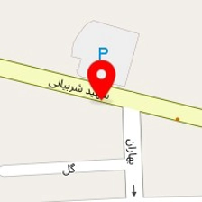 باشگاه بدنسازی ارشدی