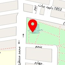 زمین چمن فوتبال