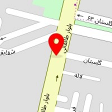 آکادمی تخصصی تکواندو شمس البرز