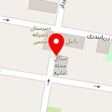 باشگاه رزمی امانیه