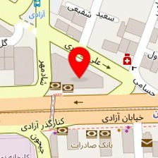 دکتر ندا هادی پور