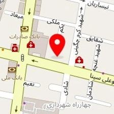 دکتر محمد انوری