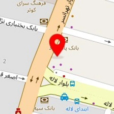 دکتر فرزانه ضیا