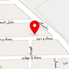دکتر هما حکمت
