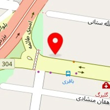 دکتر آرزو شاهین فر