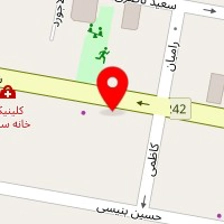 دکتر فرزانه عباسی
