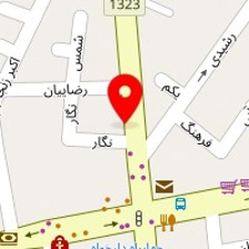 فیزیوتراپی دامون