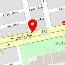 دکتر نینا طیبی