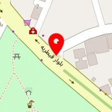 دکتر بنفشه مشار